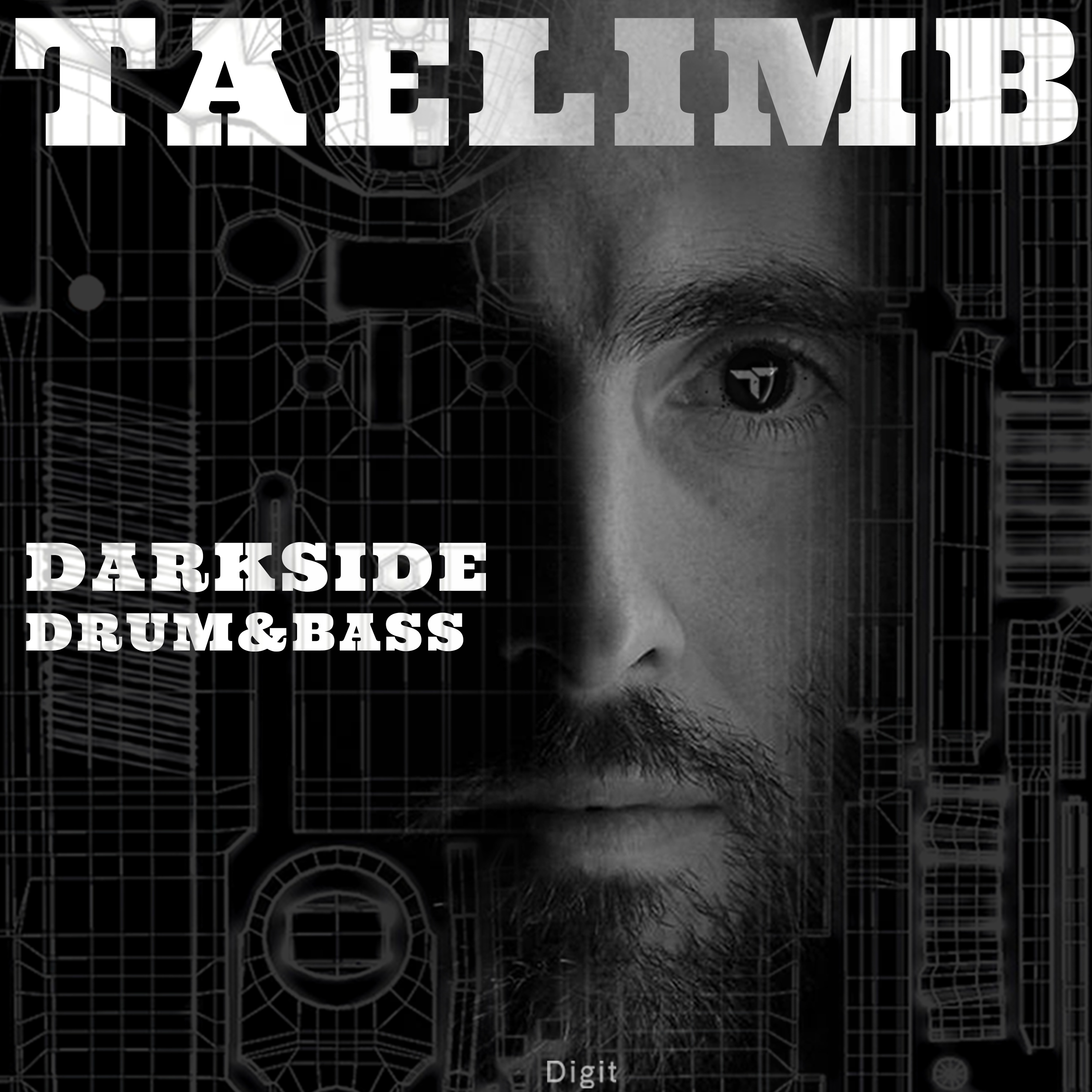[暗黑氛围鼓打贝斯采样包] Digit Sounds Taelimb Darkside Drum and Bass