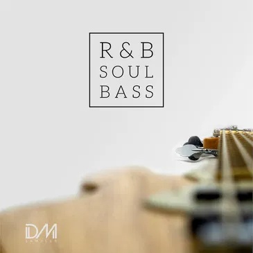 [节奏布鲁斯灵魂乐贝斯合集] Dm Samples RnB Soul Bass