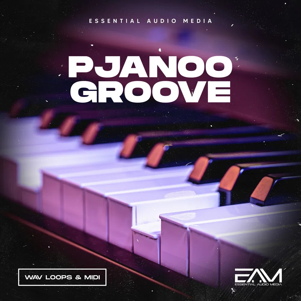 [钢琴律动合集] Essential Audio Media Pjanoo Groove
