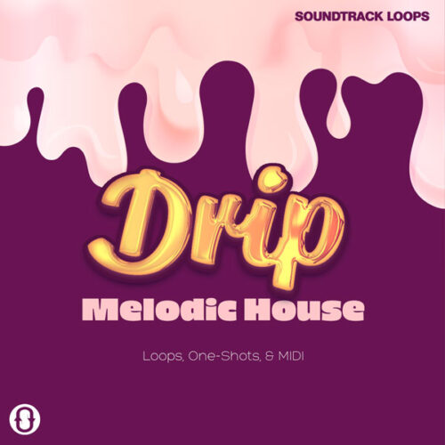 [旋律浩室水滴采样包] SoundTrack Loops Drip Melodic House