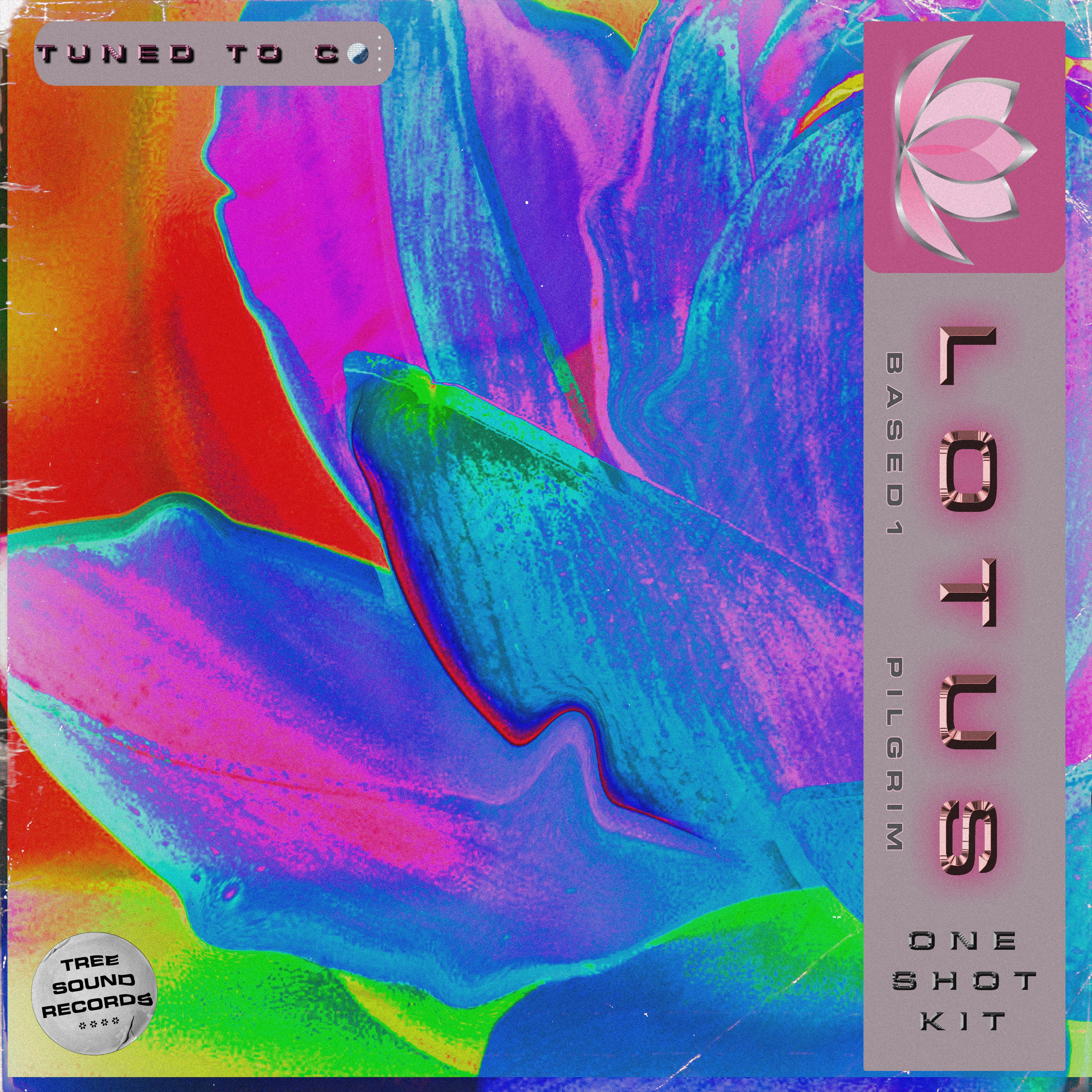 [鼓组采样包] Based1 and Pilgrim Lotus Vol. 3 One Shot Kit