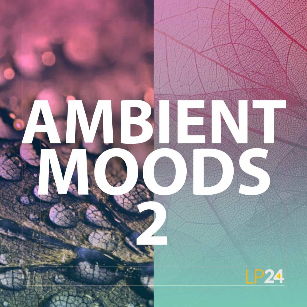 [氛围情绪采样包] Lp24 Ambient Moods 2