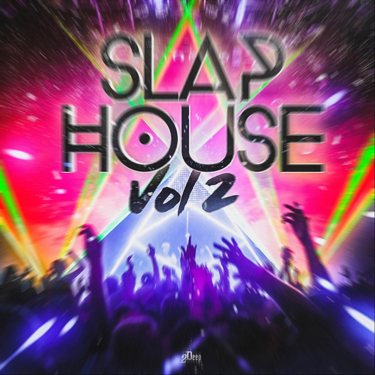 [深度浩室节奏合集] 2Deep Beats Slap House Vol 2