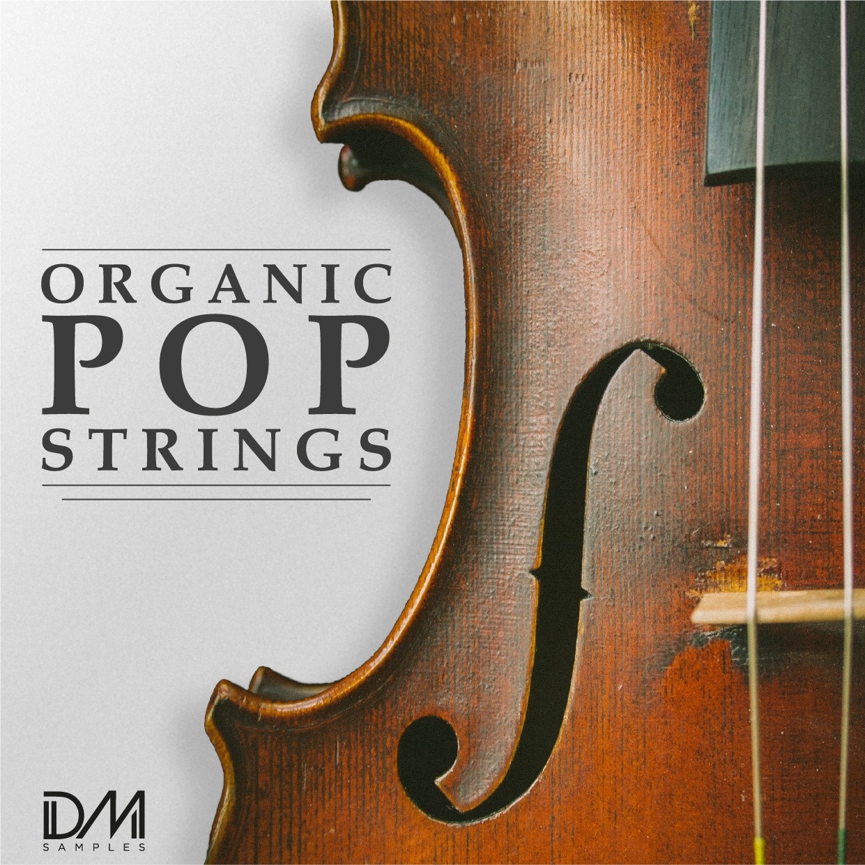 [有机流行弦乐合集] DM Samples Organic Pop Strings