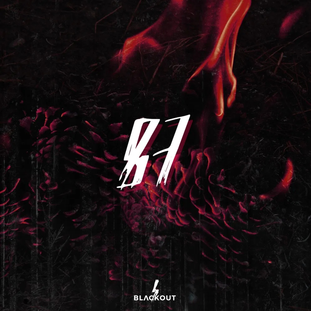 [暗黑电子合集] Blvckout 87