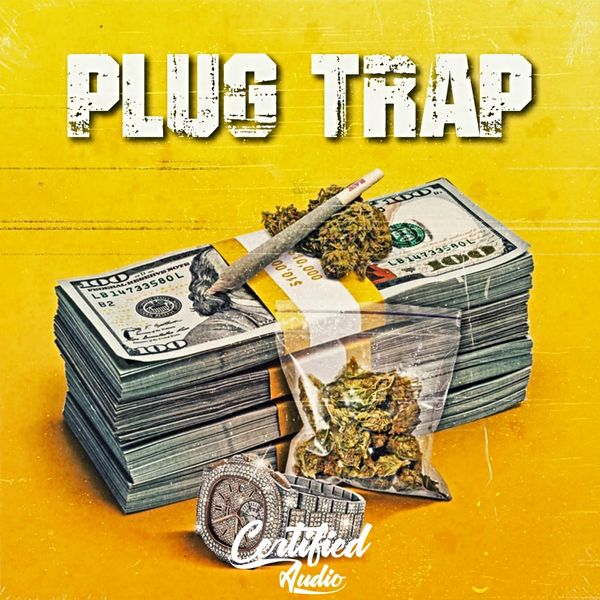 [认证陷阱音乐采样包] Certified Audio Trap Plug