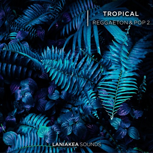 [热带雷鬼顿与流行音乐采样包] Laniakea Sounds Tropical Reggaeton And Pop 2