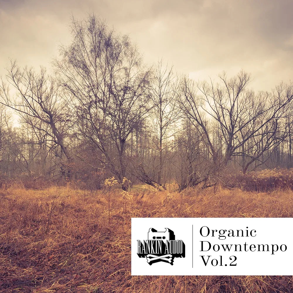 [有机缓拍合集] Rankin Audio Organic Downtempo Vol 2