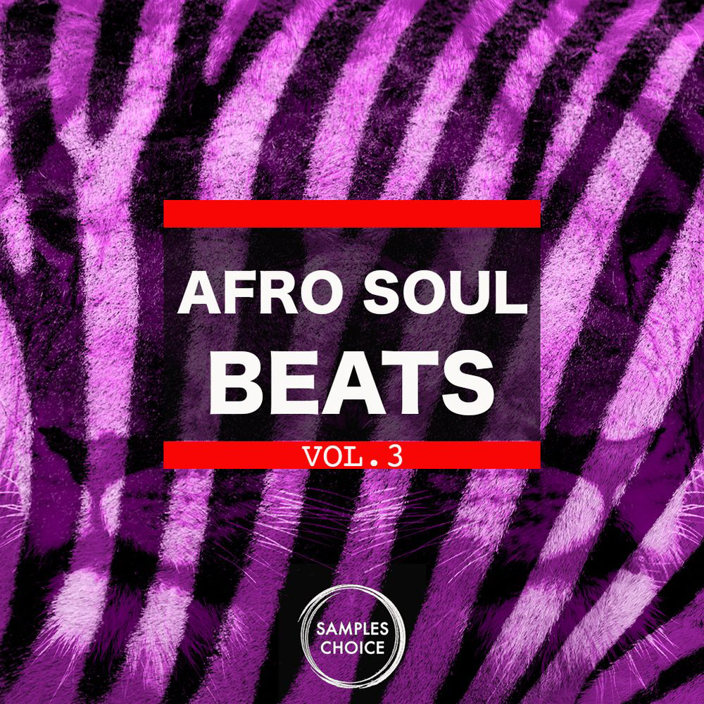 [非洲灵魂乐节奏采样包] Samples Choice Afro Soul Beats Vol 3