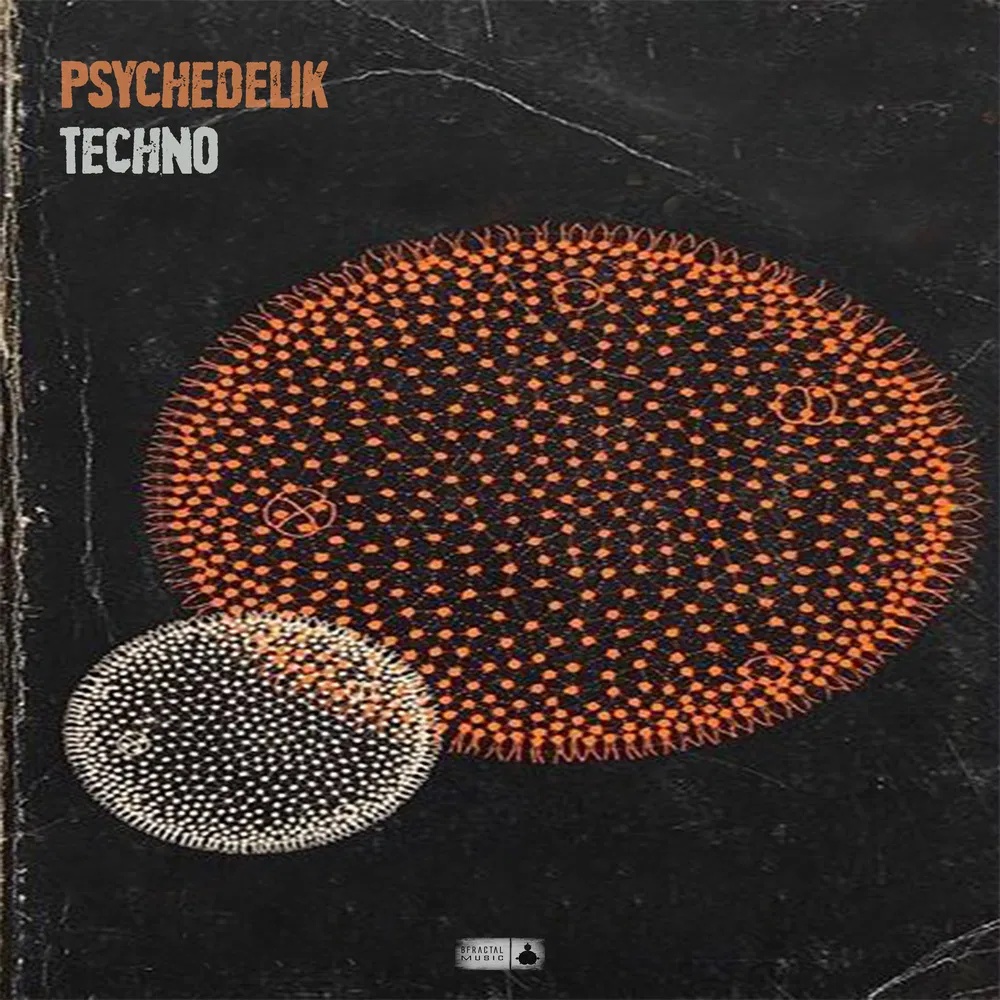 [迷幻科技舞曲采样包] BFractal Music Psychedelik Techno