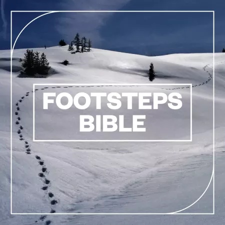 [脚步声采样合集] Blastwave FX Footsteps Bible