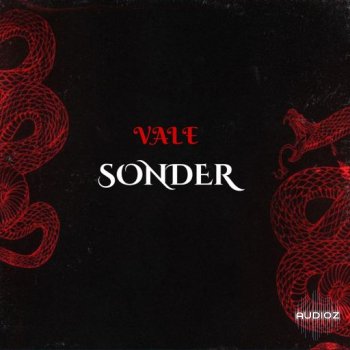 [氛围感电子乐采样包] Loops 4 Producers Sonder