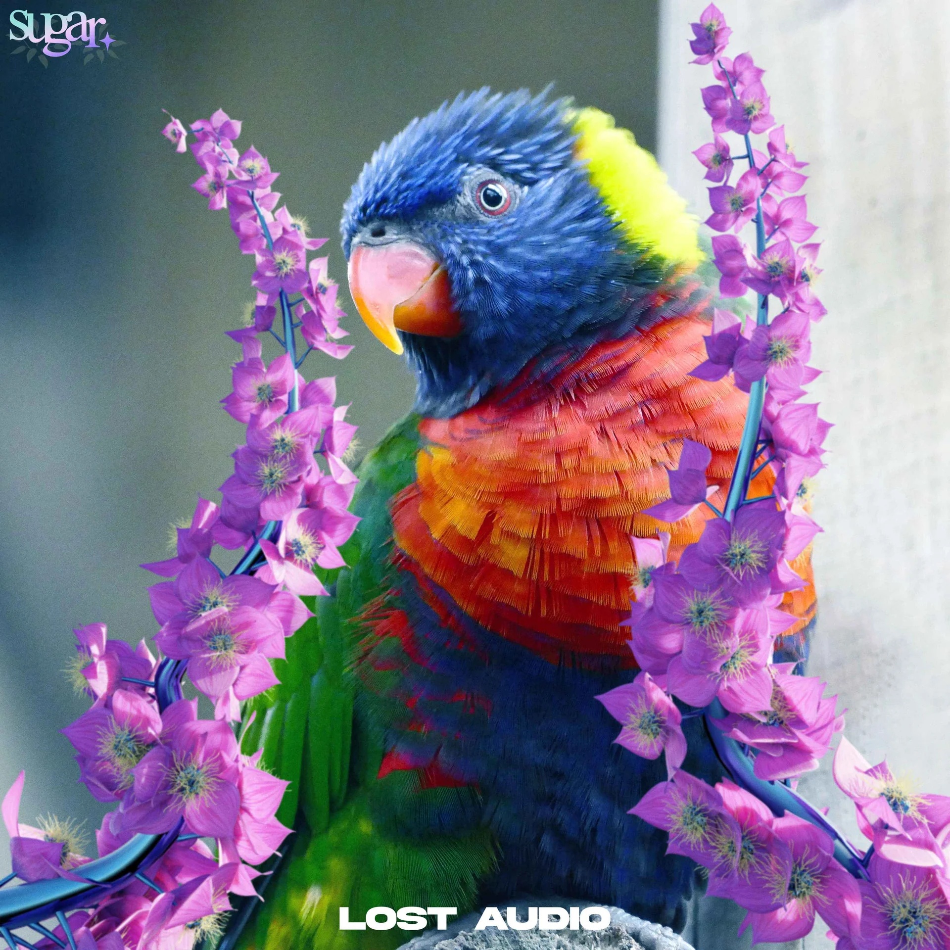[甜蜜人声采样合集] Lost Audio Sugar Sample Collection