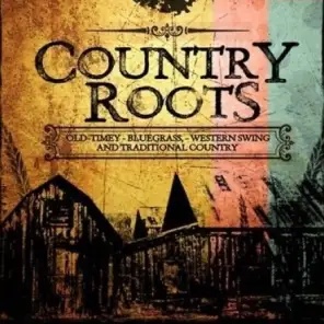 [乡村根源采样包] Big Fish Audio Country Roots