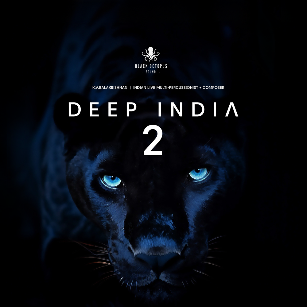 [印度风采样包] Black Octopus Sound Deep India Vol.2