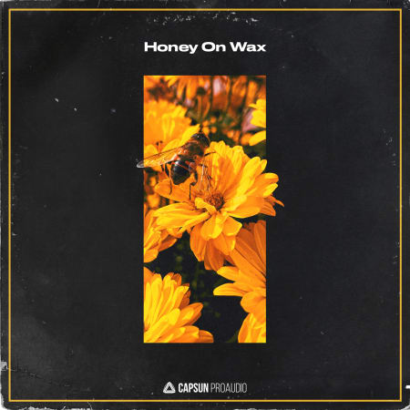 [蜜蜡质感黑胶采样包] Capsun ProAudio Honey On Wax
