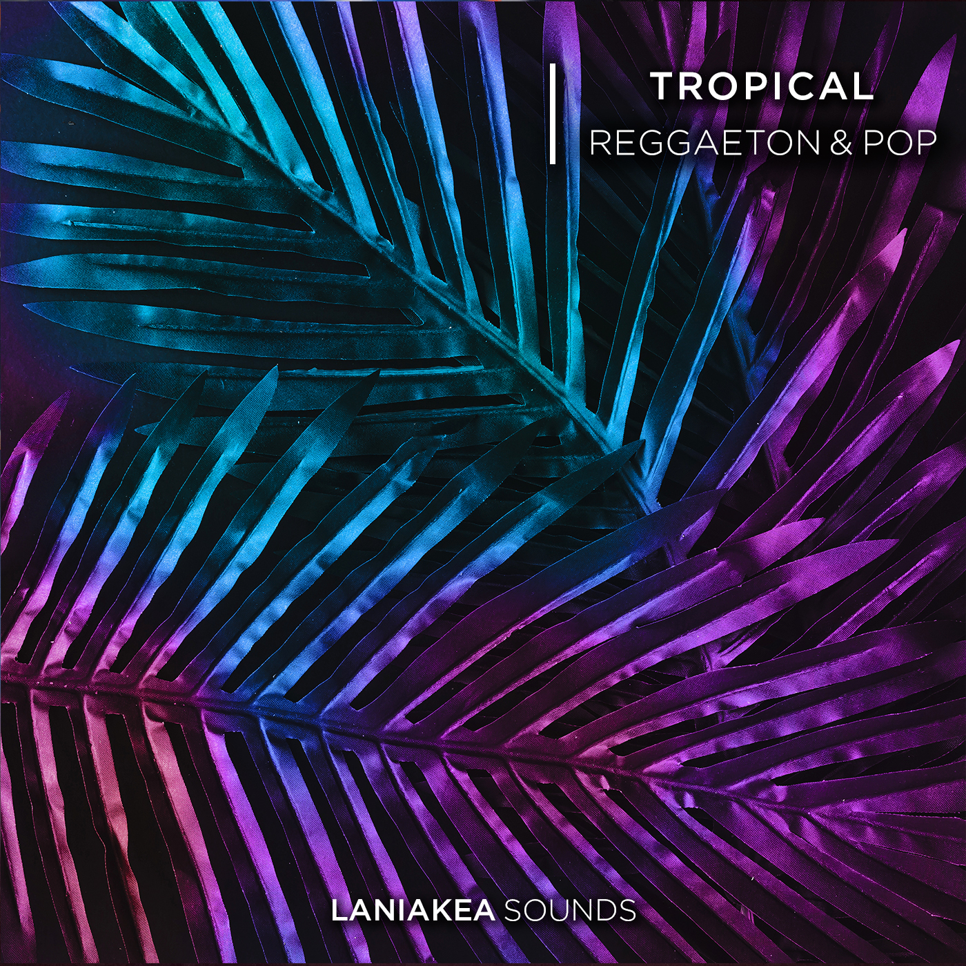 [热带雷鬼顿与流行音乐采样包] Laniakea Sounds Tropical Reggaeton And Pop