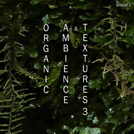 [有机氛围纹理采样包] ShamanStems Organic Ambience and Textures 3