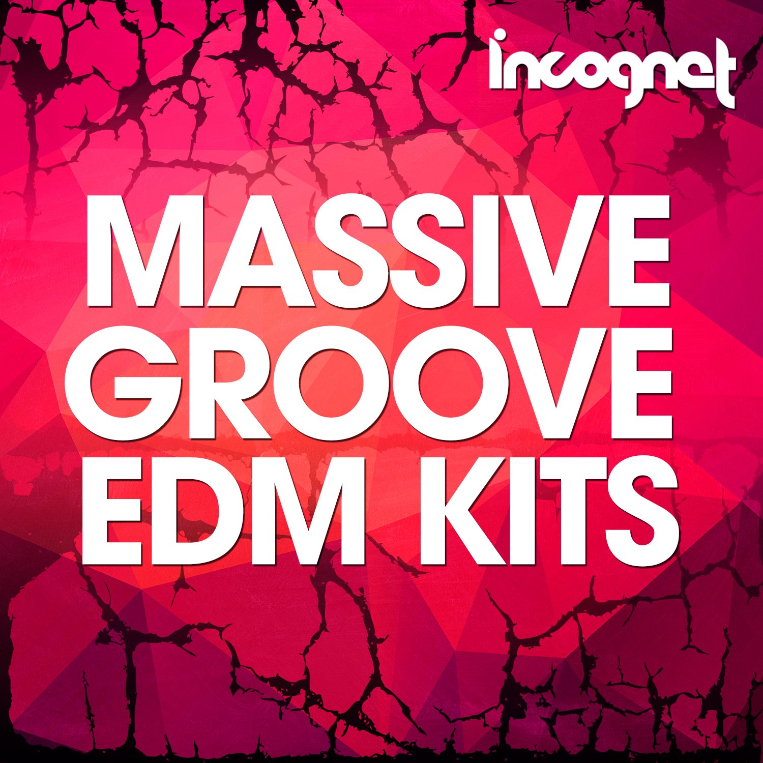 [电子舞曲鼓组合集] Incognet Massive Groove EDM