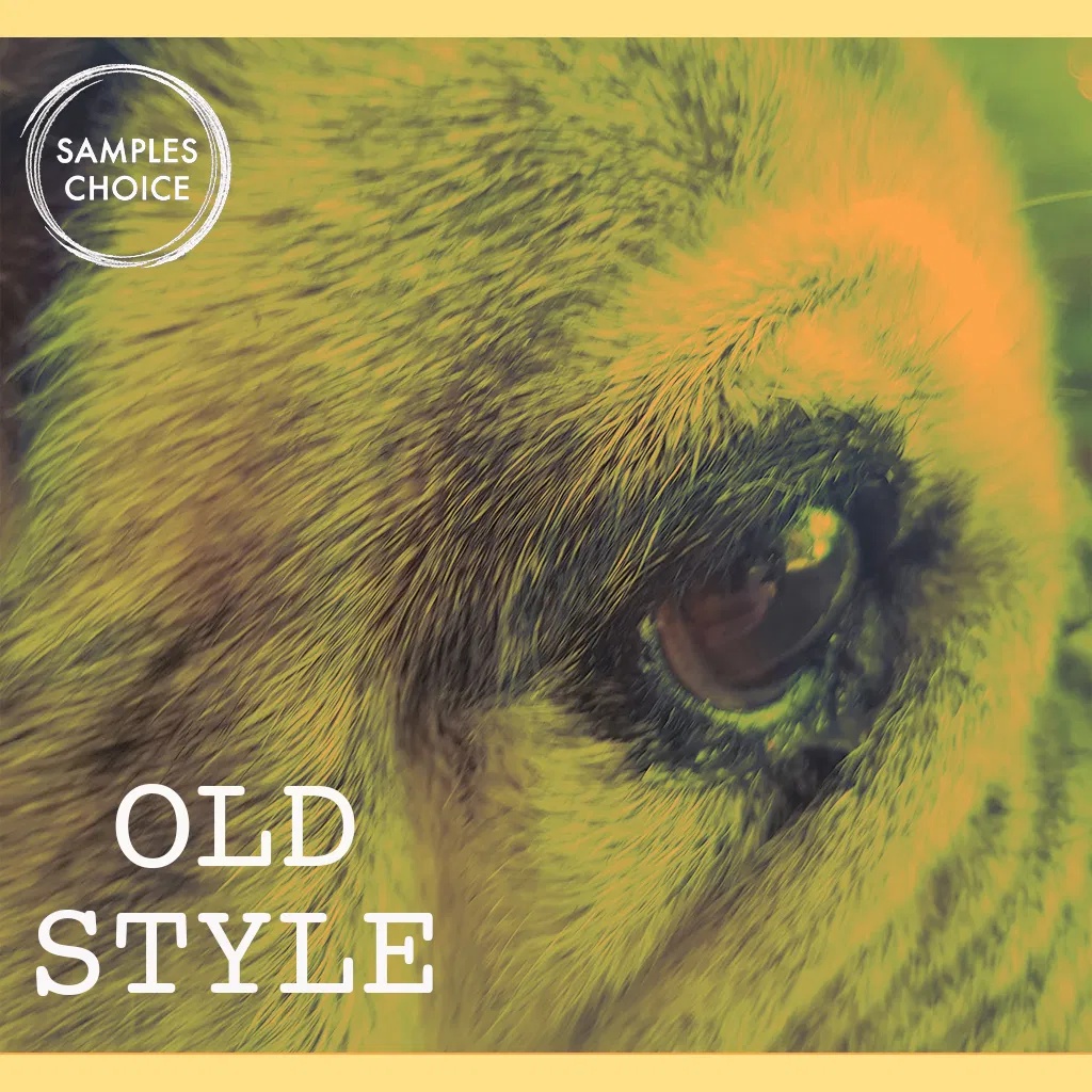[复古风格采样包] Samples Choice Old Style