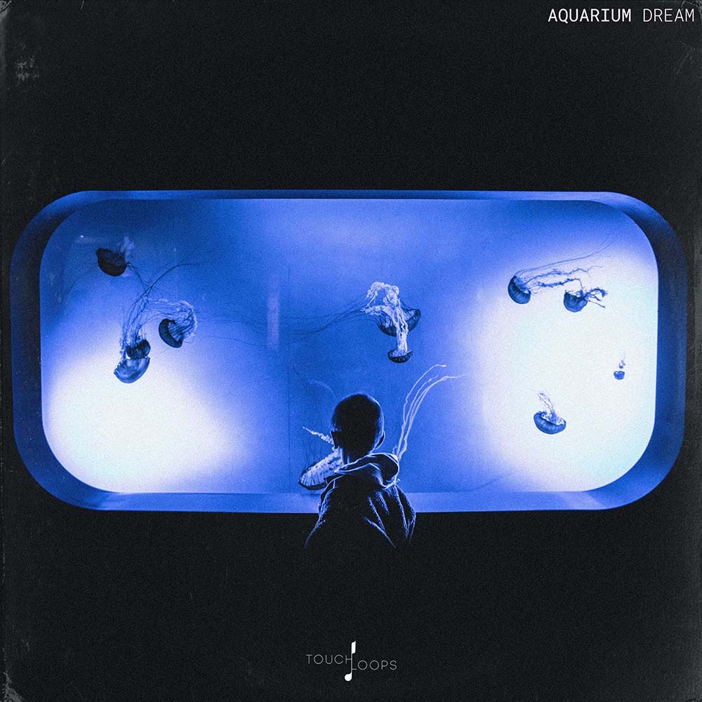 [水族梦境采样包] Touch Loops Aquarium Dream