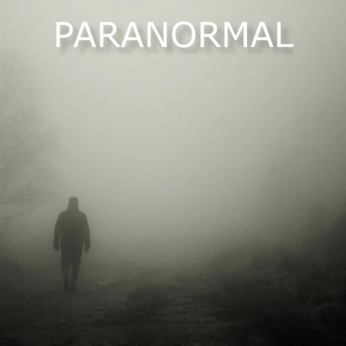 [故障音效合集] Glitchedtones Paranormal