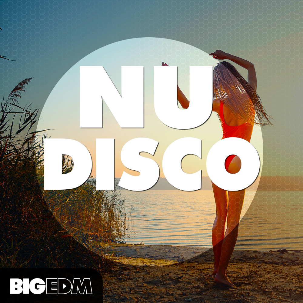 [电子舞曲迪斯科采样包合集] Big EDM Nu Disco