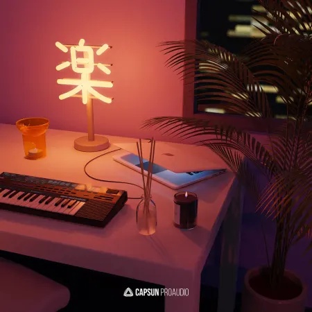 [卧室节拍与低保真嘻哈采样包] Capsun ProAudio Bedroom Beats and Lofi Hip Hop Vol. 3