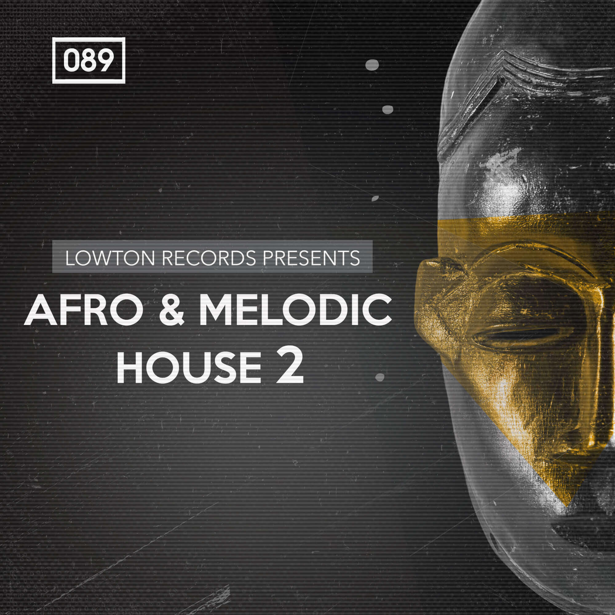 [非洲与旋律浩室采样包合集] Bingo Shakerz Afro And Melodic House 2 By Lowton Records