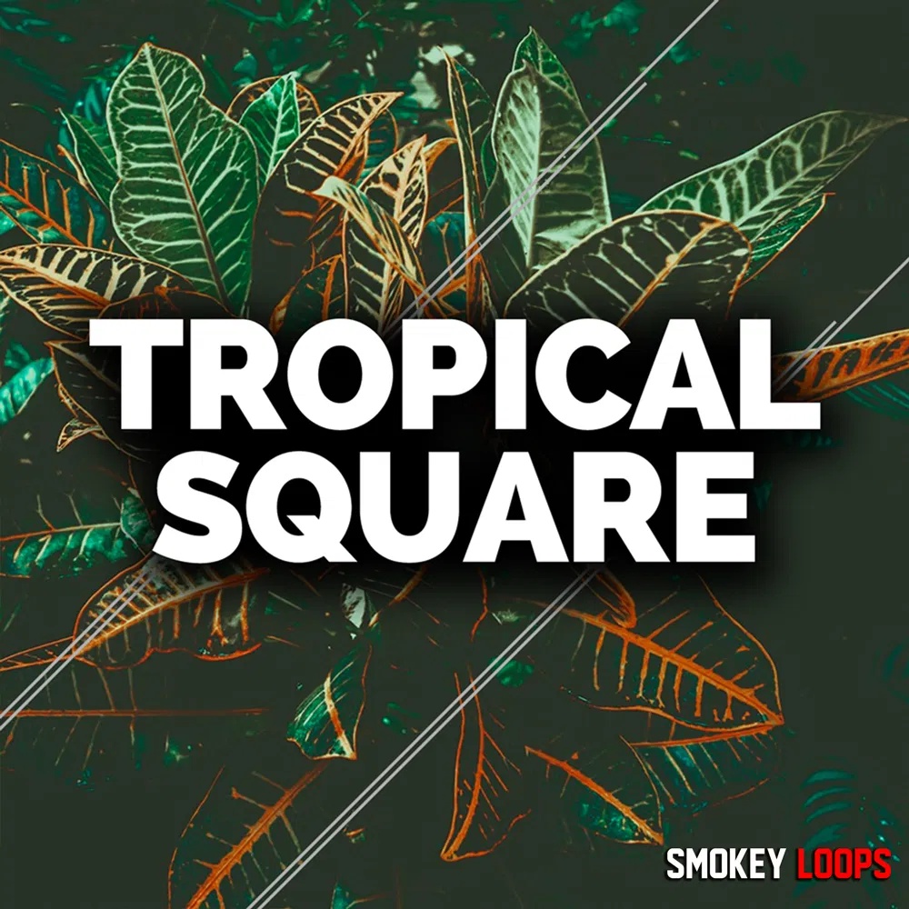 [热带风情合集] Smokey Loops Tropical Square