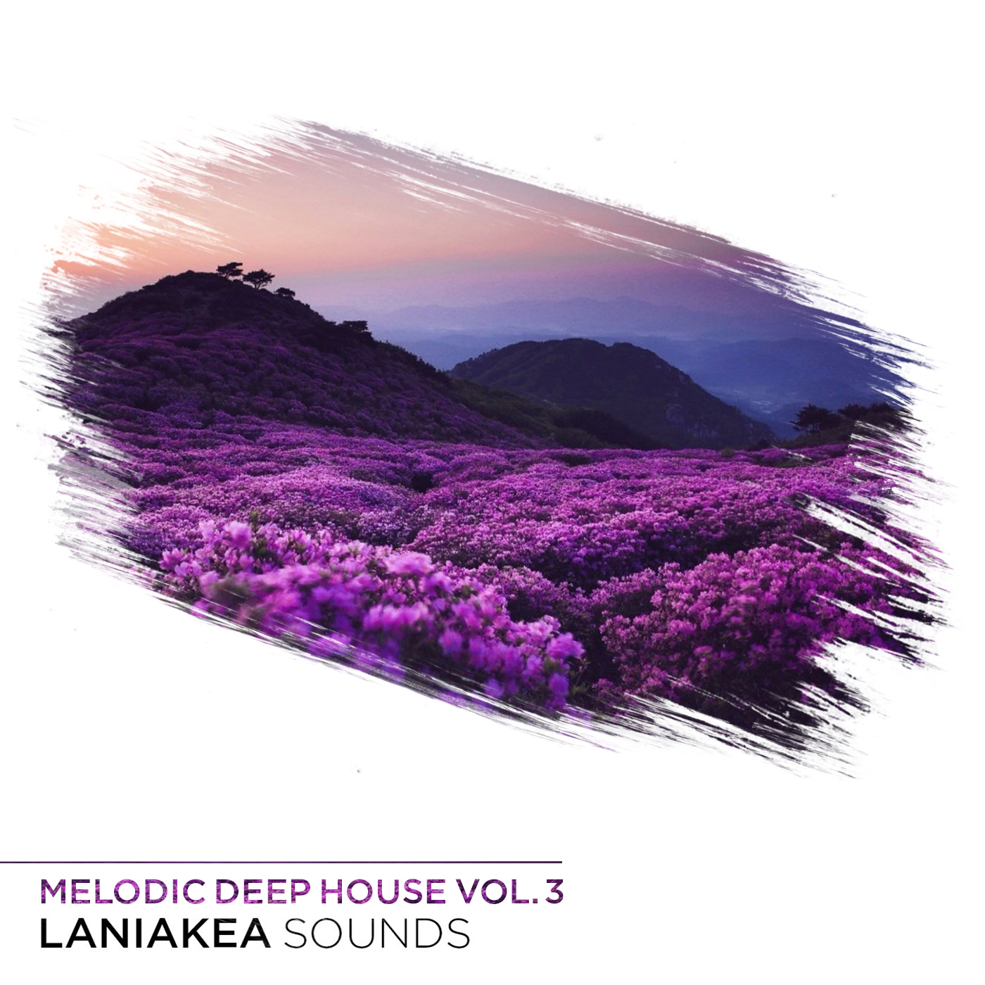 [旋律深浩室采样包] Laniakea Sounds Melodic Deep House Vol 3