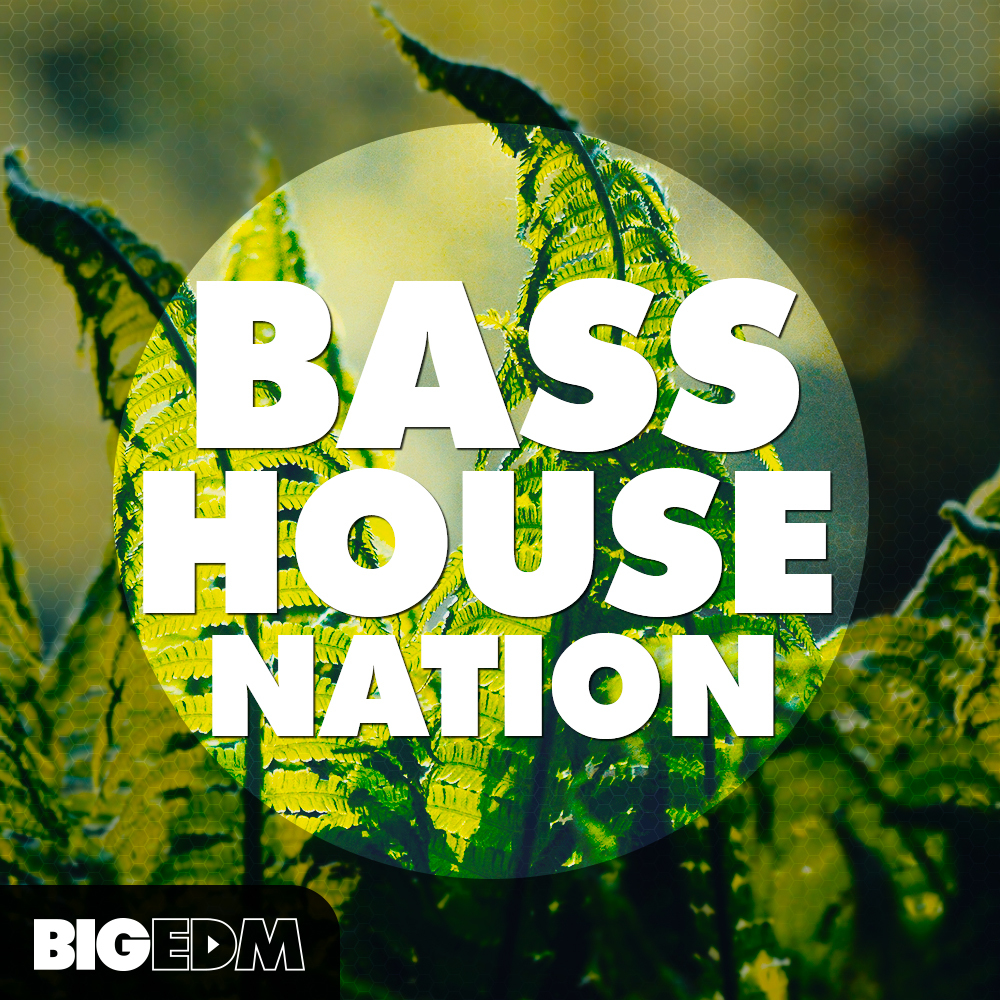 [EDM贝斯浩室合集] Big EDM Bass House Nation