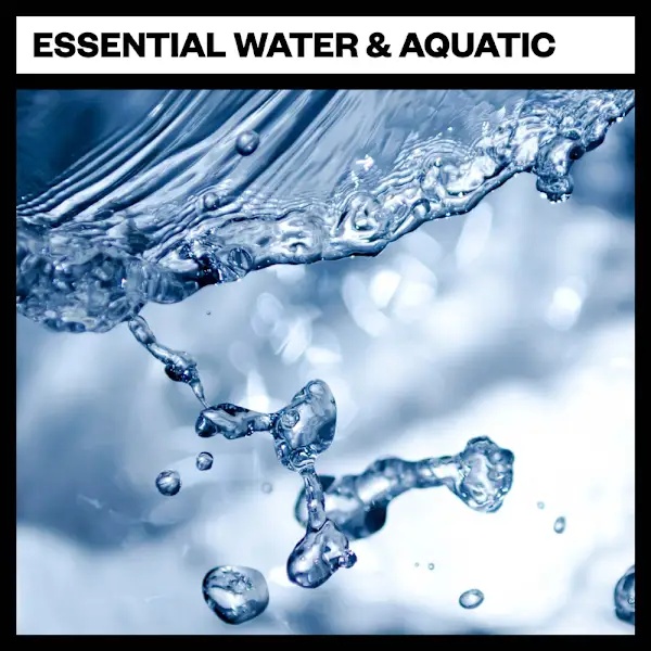 [大自然氛围采样包] Big Room Sound Water Nature