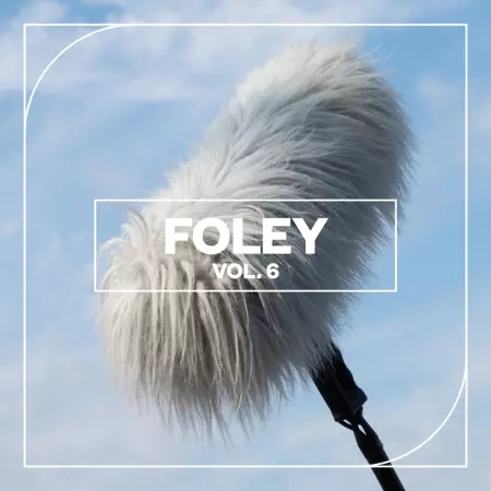 [拟音效果合集] Blastwave FX Foley Vol. 6