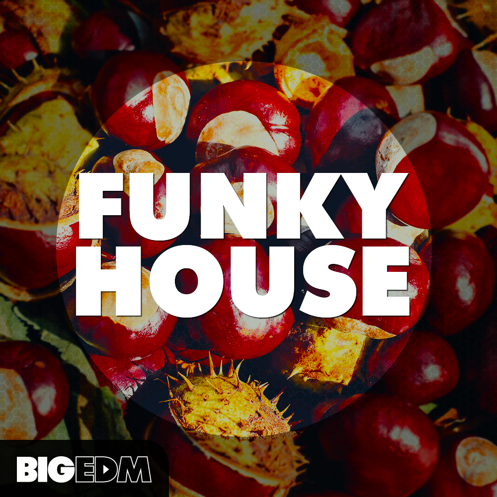 [动感放克浩室合集] Big EDM Funky House