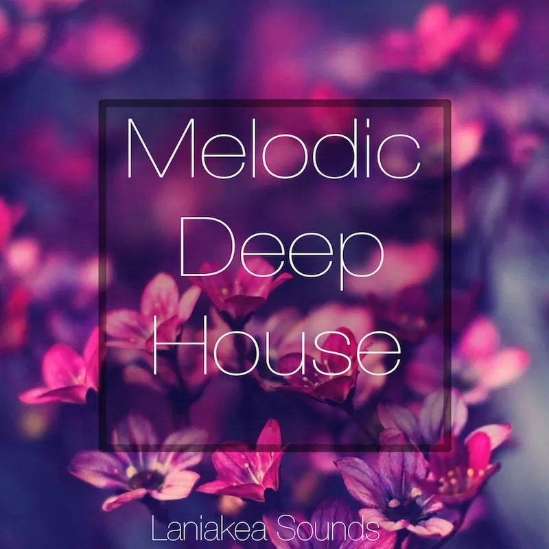 [旋律深浩室采样包] Laniakea Sounds Melodic Deep House