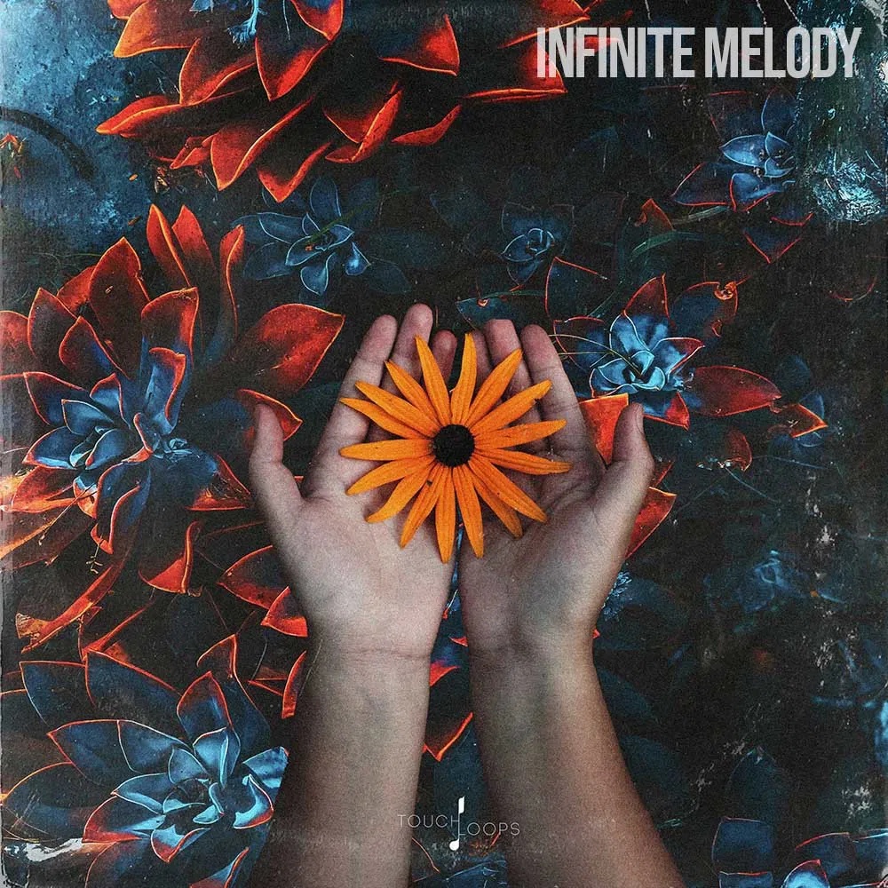 [无限旋律合集] Touch Loops Infinite Melody