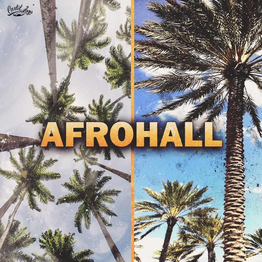 [非洲厅舞曲采样包] Cartel Loops Afrohall