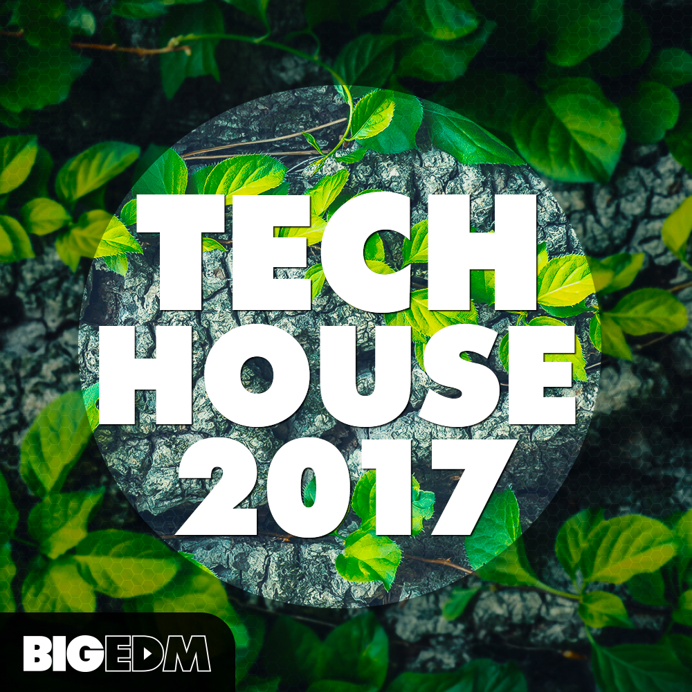[电子舞曲科技浩室合集] Big EDM Tech House 2017