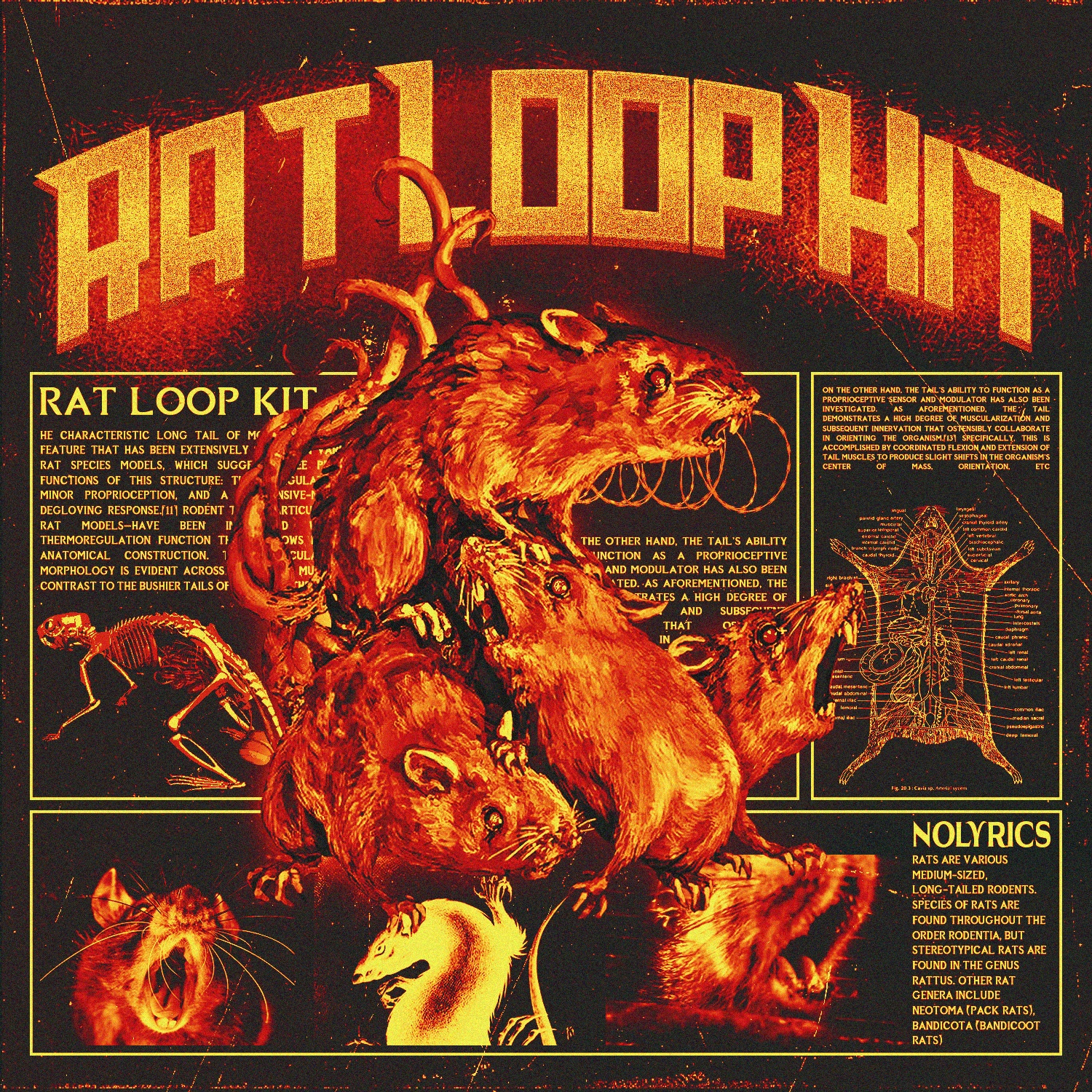 [无歌词人声采样包] Nolyrics RAT Loop Kit and FLP