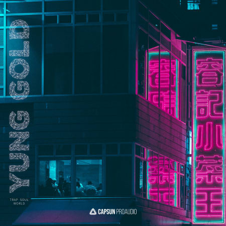 [黄金陷阱灵魂风格采样包] Capsun ProAudio Yung Gold Trap Soul World