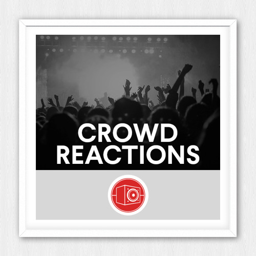 [大房间氛围人声合集] Big Room Sound Crowd Reactions