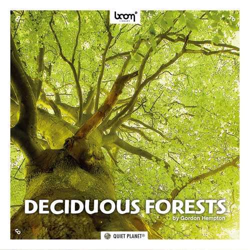 [落叶森林环境音合集] Boom Library Deciduous Forests