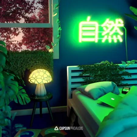 [低保真自然采样包] Capsun ProAudio Lofi By Nature