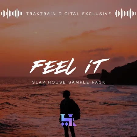 [Slap House风格采样包] rakTrain Feel It Slap House