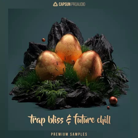 [陷阱与未来驰放电子采样包] CAPSUN ProAudio Trap Bliss and Future Chill