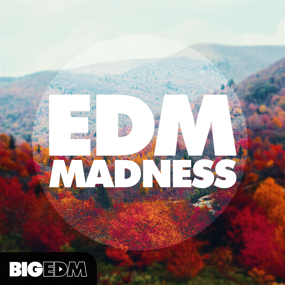 [电子舞曲采样包] Big EDM EDM Madness