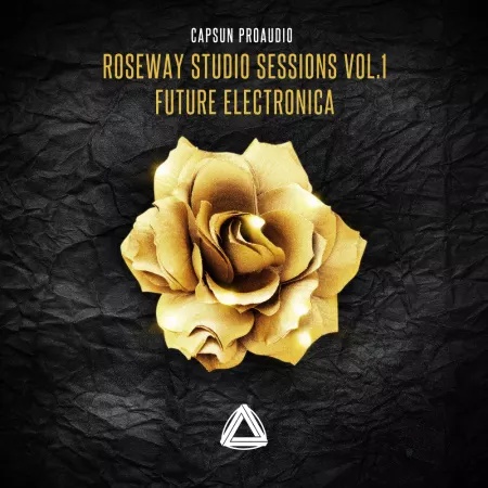 [未来电子乐采样包] CAPSUN ProAudio Roseway Studio Sessions Vol 1 Future Electronica