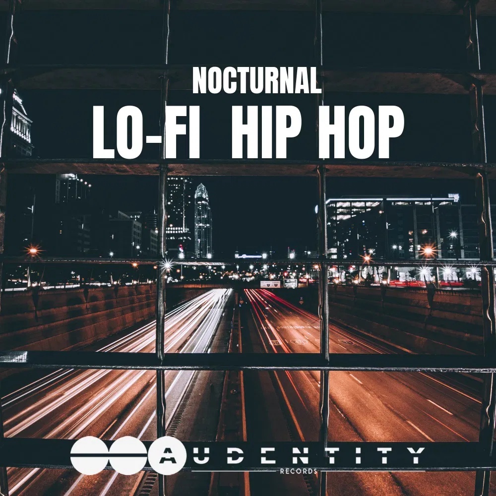 [夜氛低保真嘻哈采样包] Audentity Records Nocturnal Lo Fi Hip Hop
