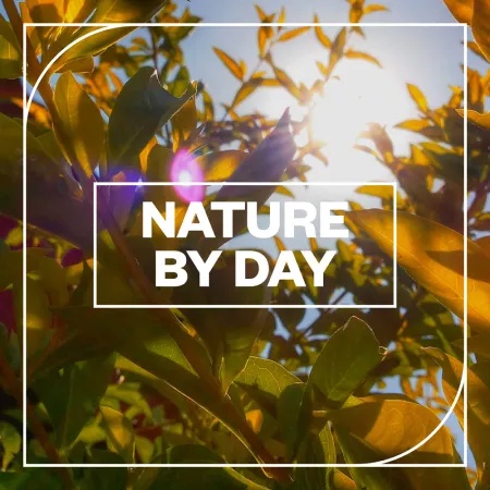 [白天环境音效采样包] Blastwave FX Nature by Day